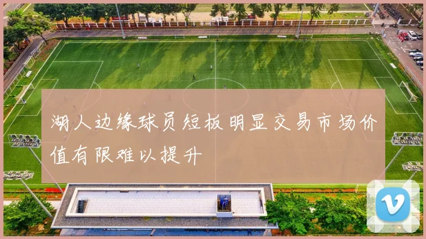 湖人边缘球员短板明显交易市场价值有限难以提升